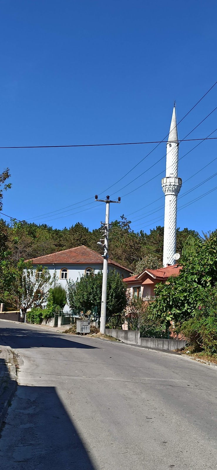 Aladağ Çamlık Camii