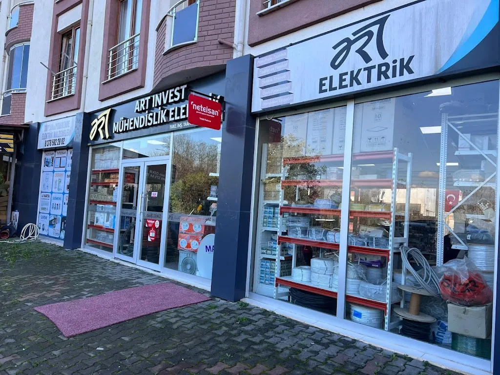 Art Elektrik