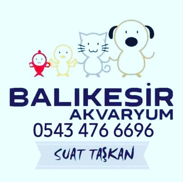 BALIKESİR AKVARYUM PETSHOP