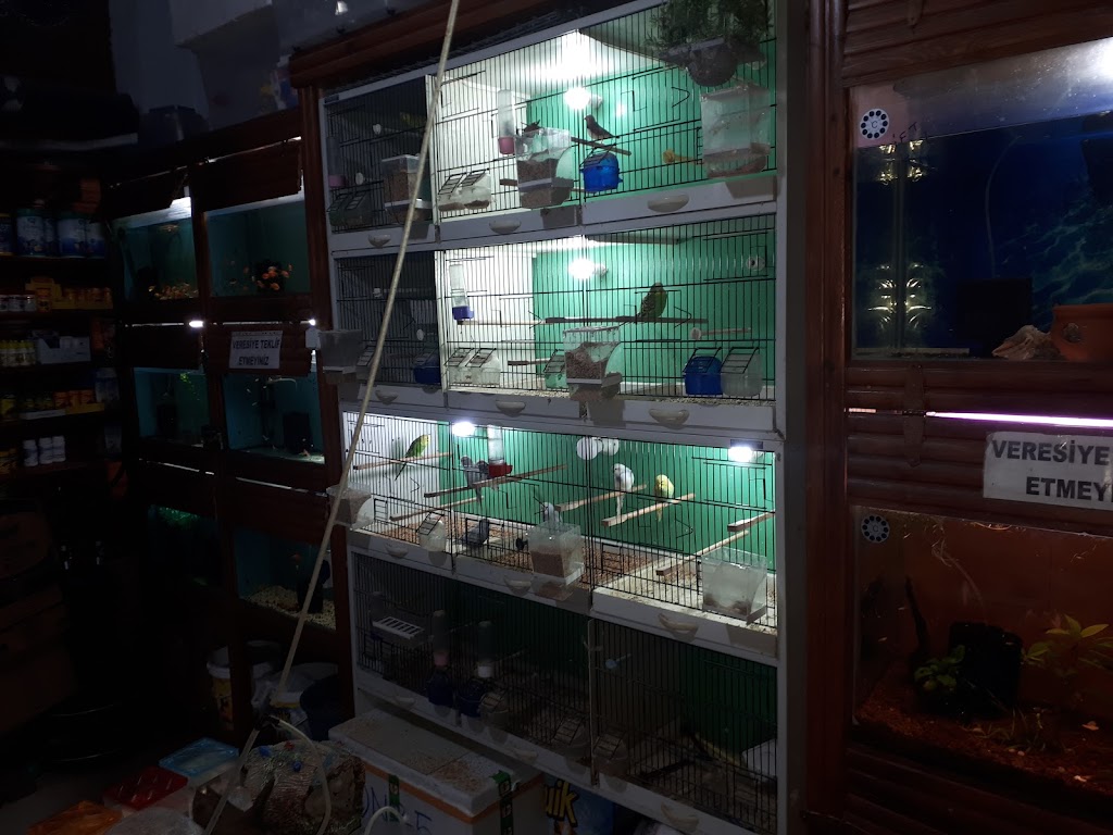 Bartin Tropikal Akvaryum & Pet Shop