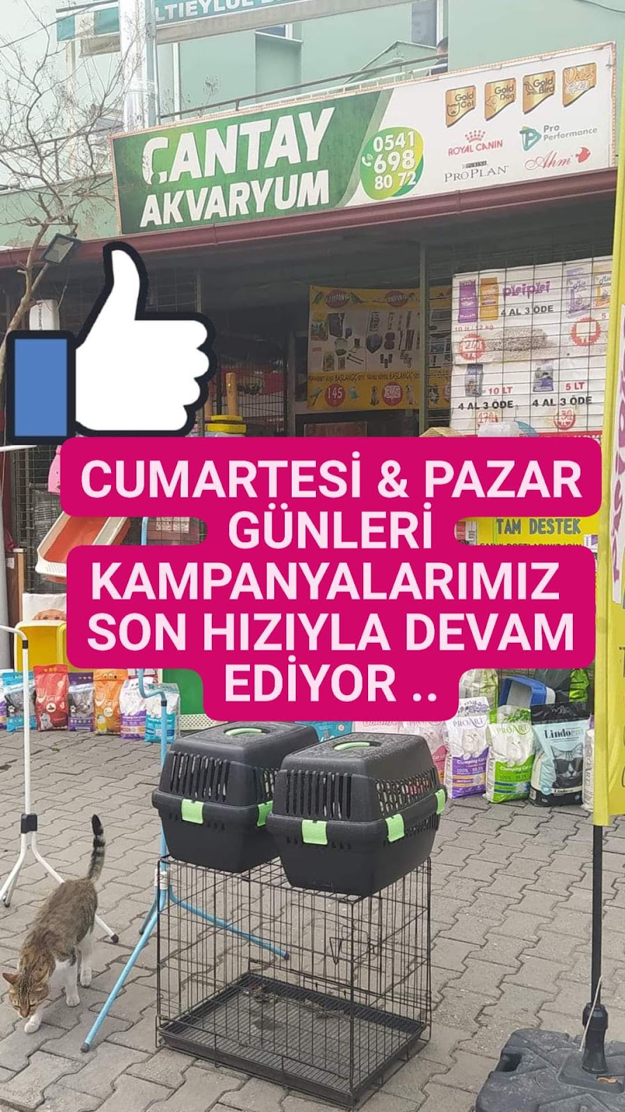 ÇANTAY AKVARYUM PETCİTY