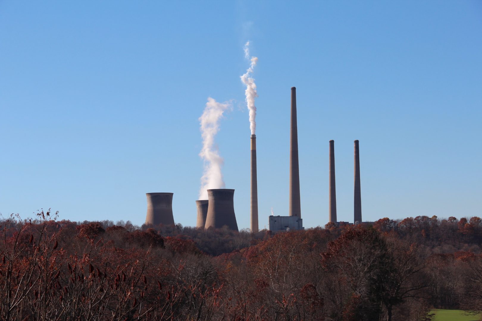 COP29 Başkanı: “Yoksul Ülkeler İklim Harcamalarında Şeffaf Olmalı”