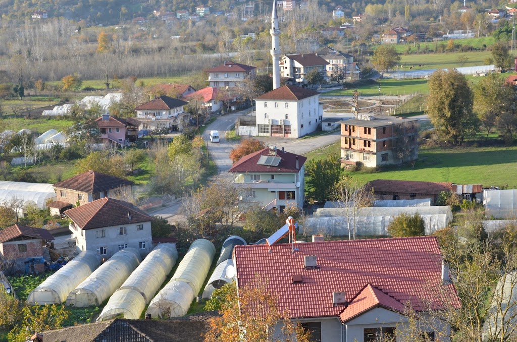 Dallıca Köyü Cami