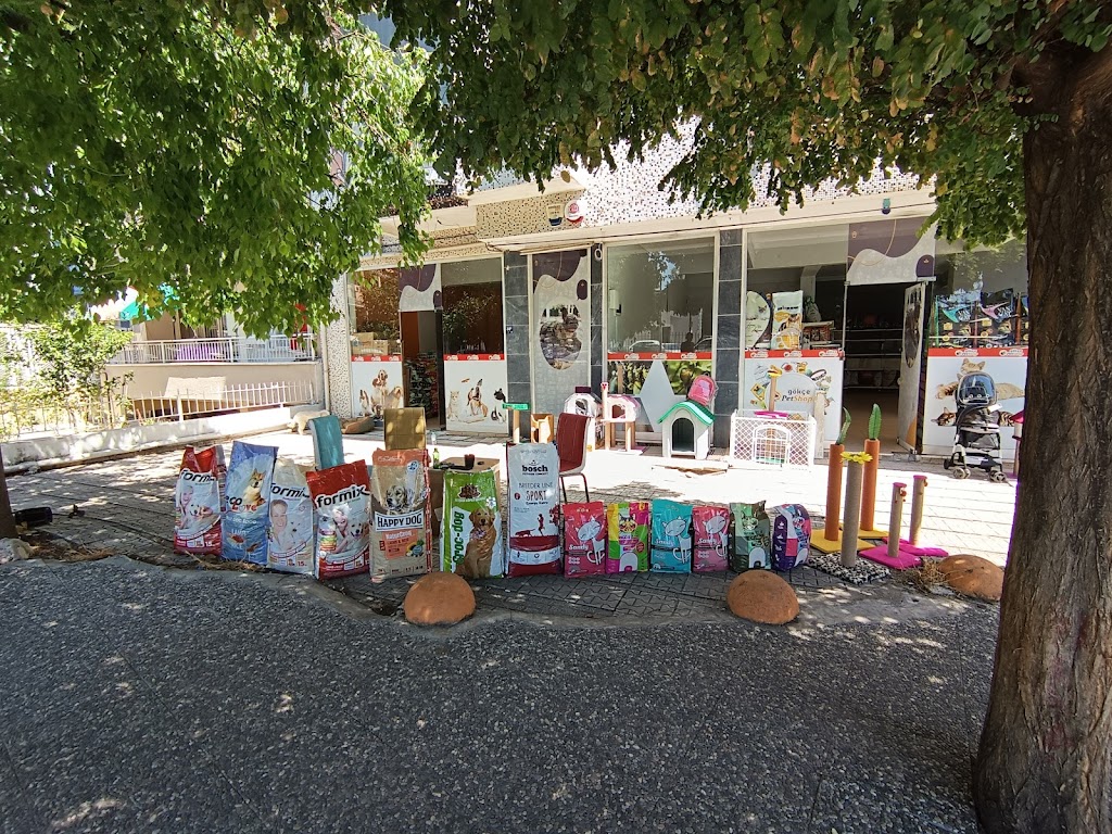 Gökçe Petshop