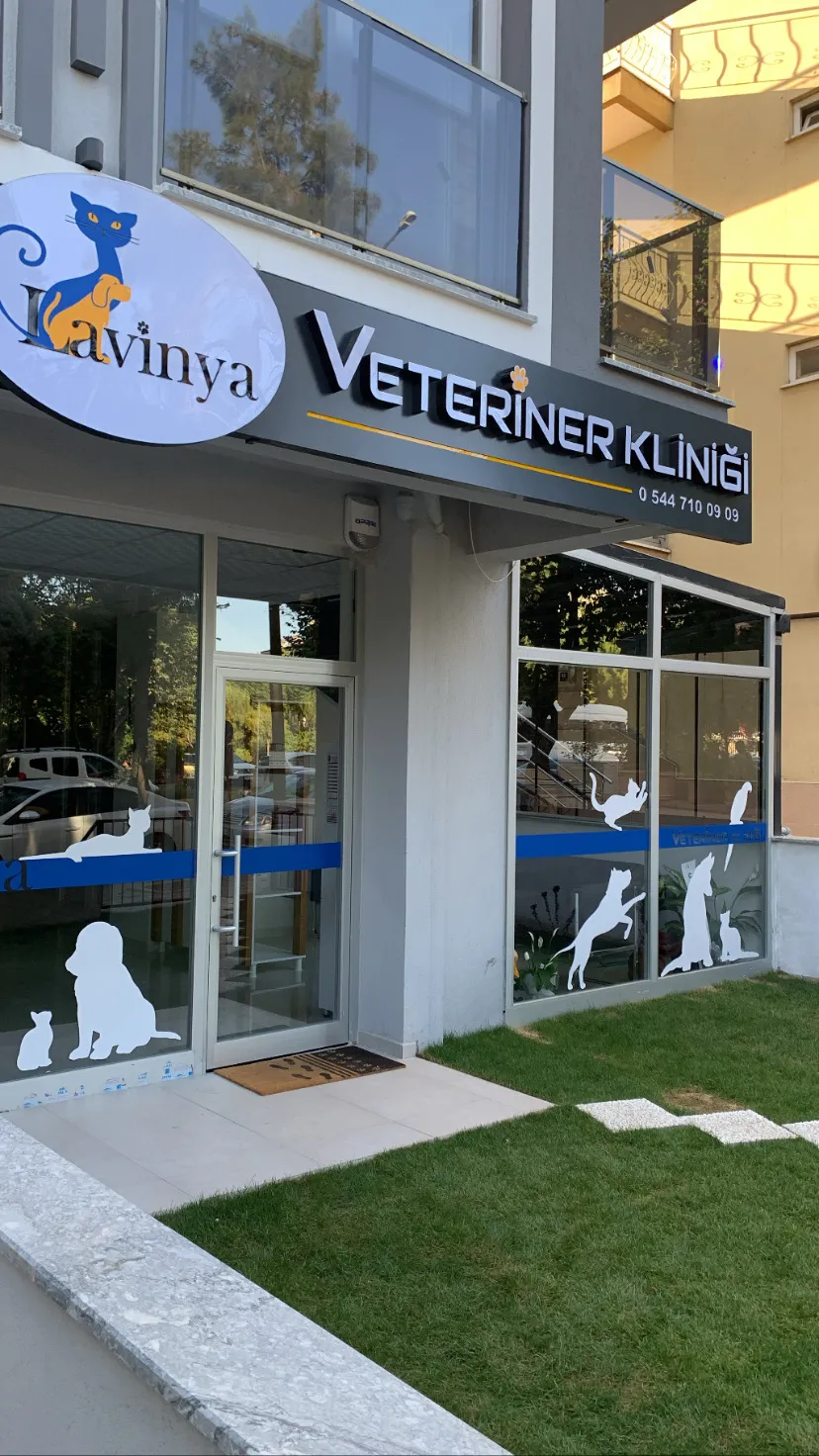 Lavinya Veteriner Kliniği