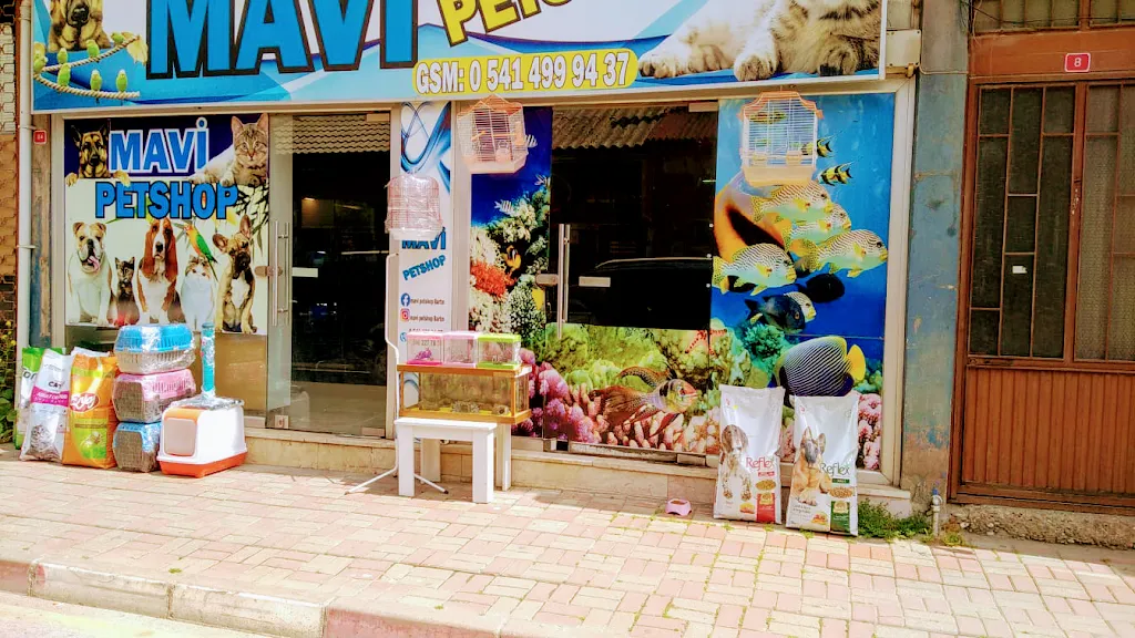 Mavi petshop bartın