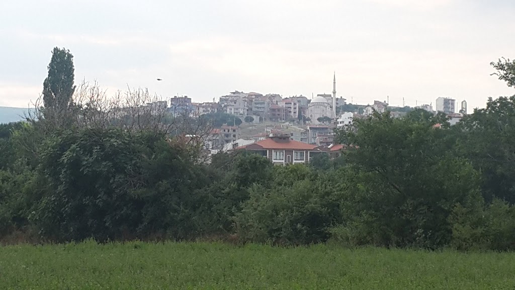 Ozdil