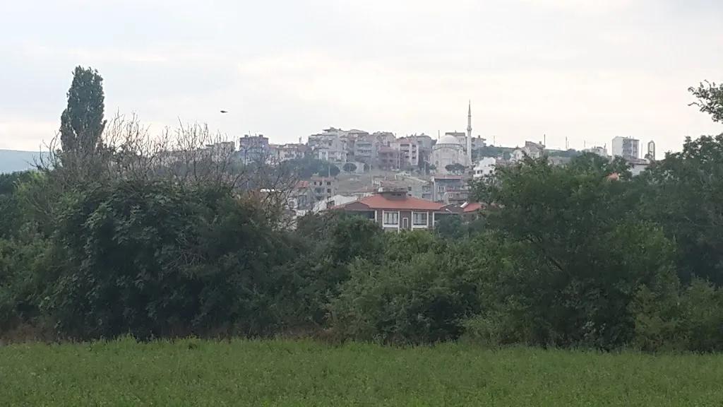 Ozdil