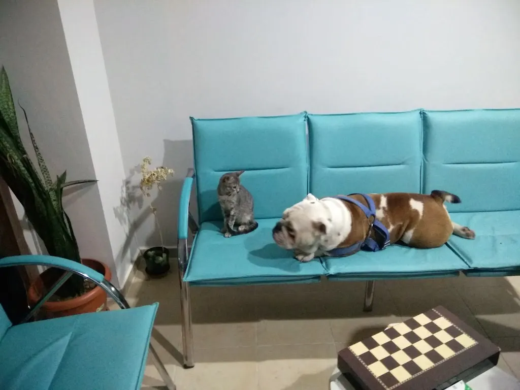 Pet-Way veteriner kliniği