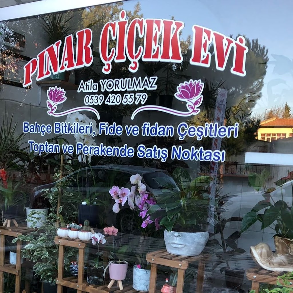 Pınar Çiçek Evi