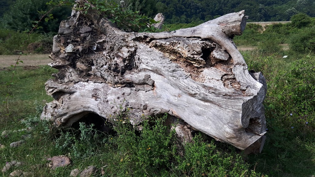 T.C. Bartın İl Özel İdaresi Mugada Karavan park Kamp Alanı