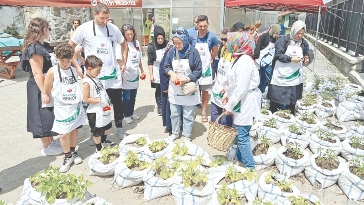 Atalık tohumlar Ayvansaray Bahçe'de hayat buldu