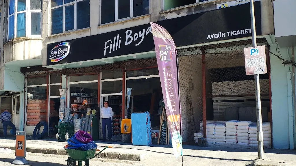 Aygür Ticaret Filli Boya