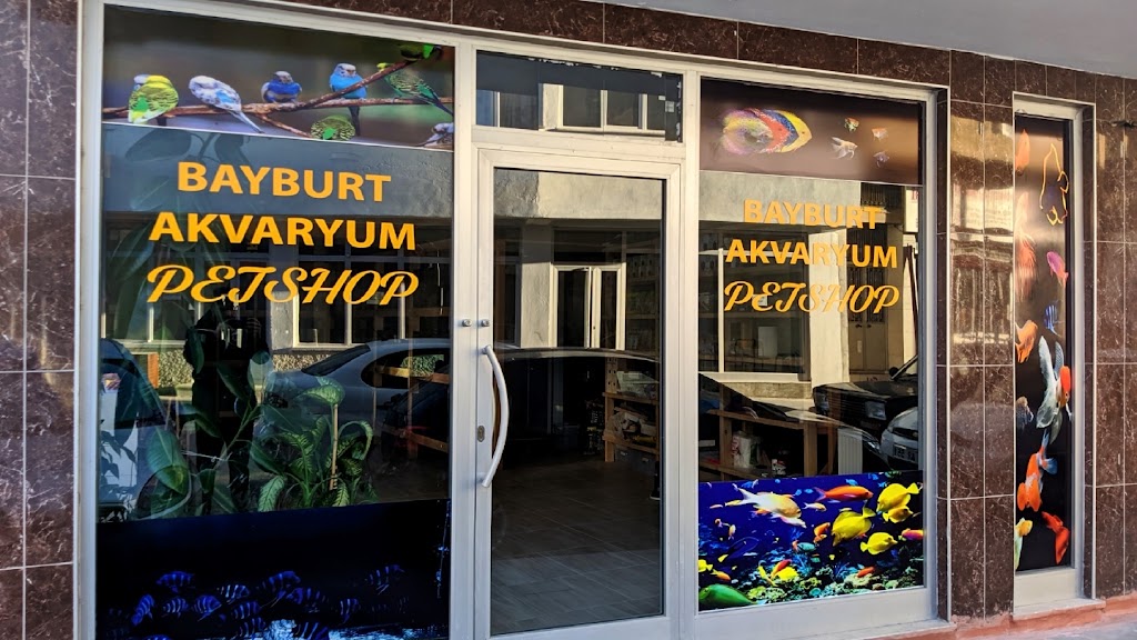 Bayburt Akvaryum Petshop