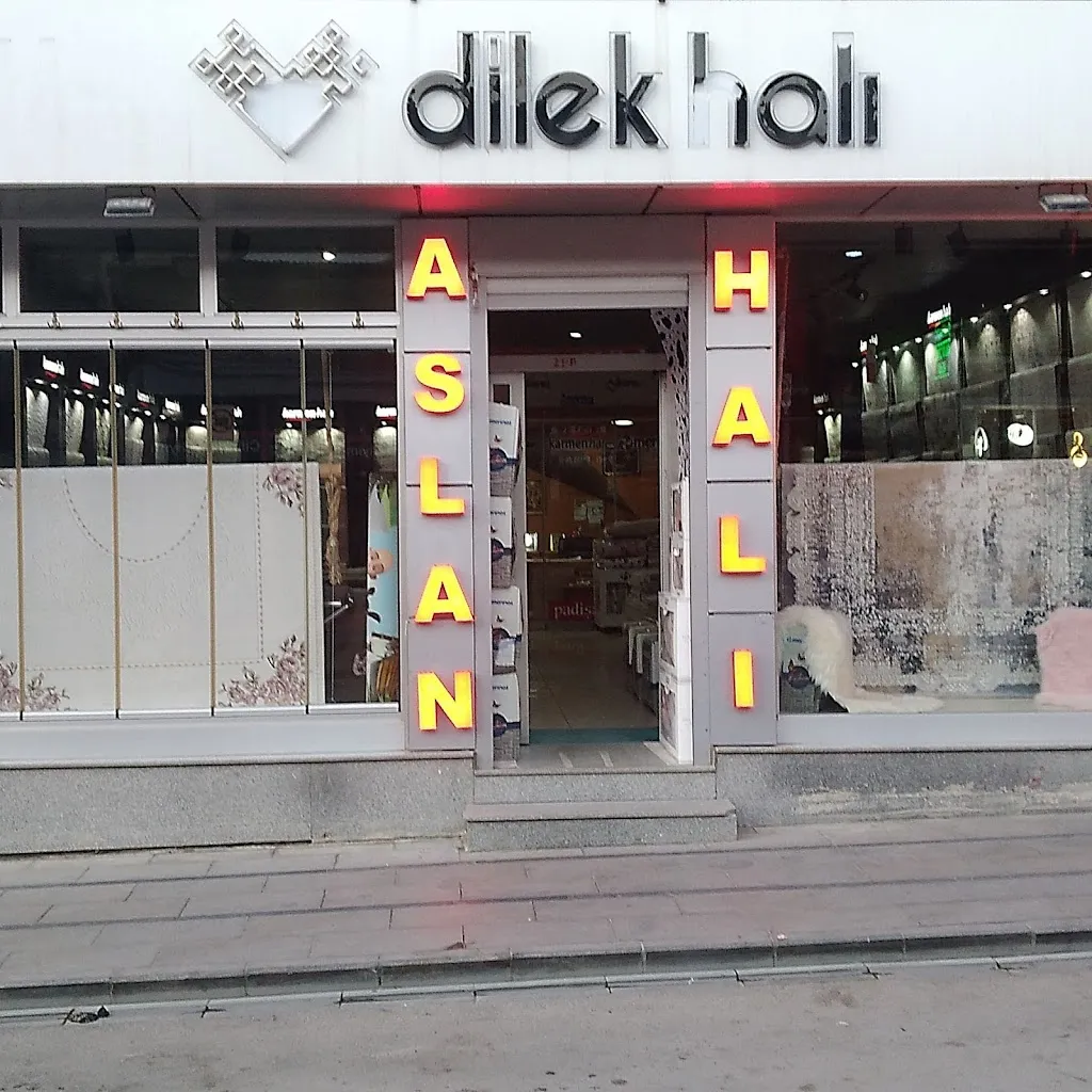 Bayburt aslan halı