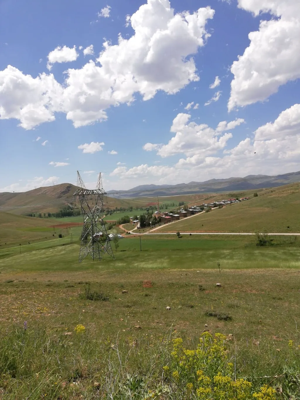 Bayburt Orman İşletme Müdürlüğü