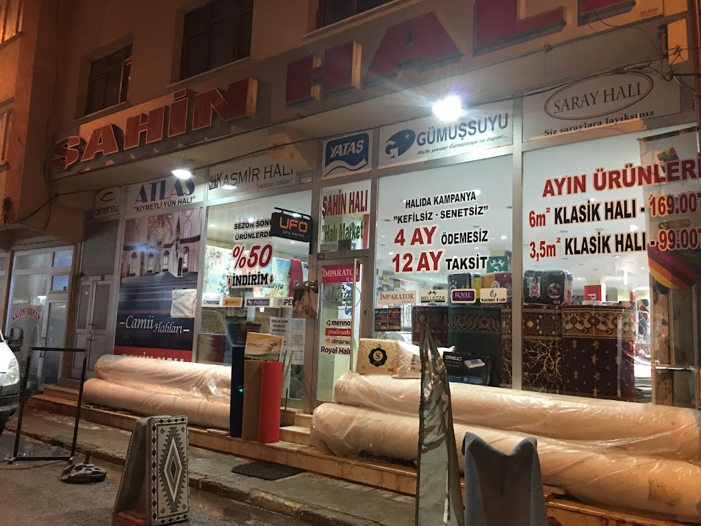 Bayburt Şahin Halı