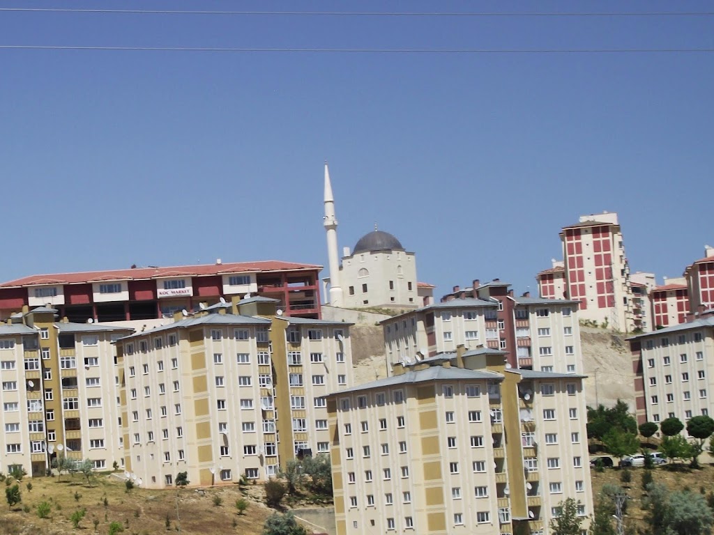 Bayburt Toki Cami