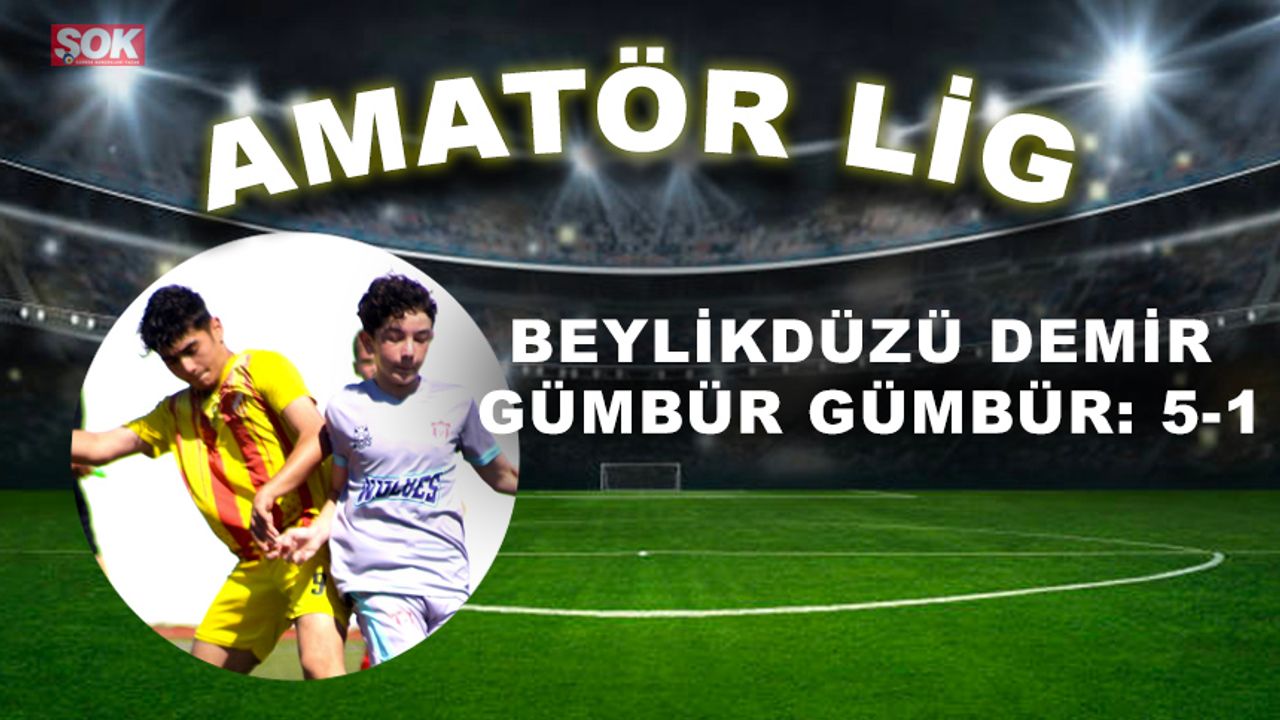 Beylikdüzü Demir gümbür gümbür: 5-1