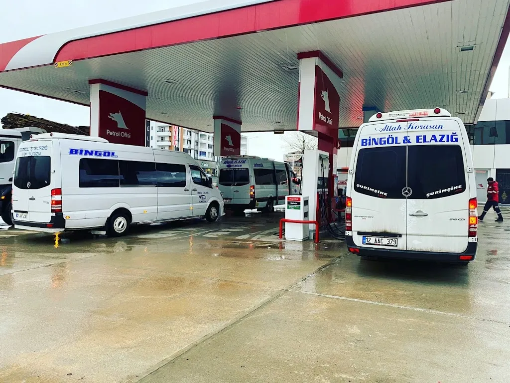 Bingöl Elazığ vip