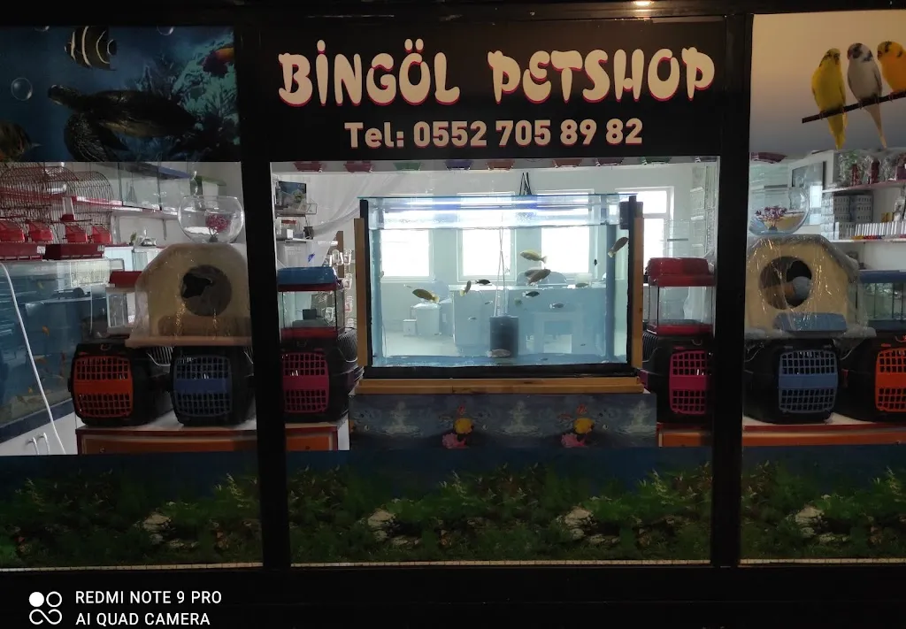 Bingöl petshop