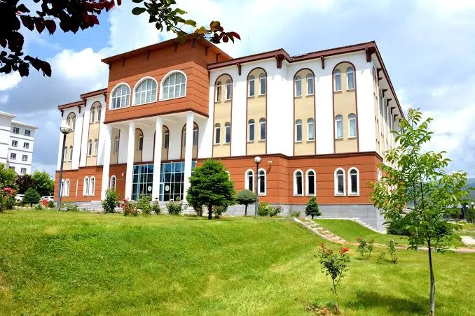 Bingöl Üniversitesi Sosyal Bilimler Enstitüsü