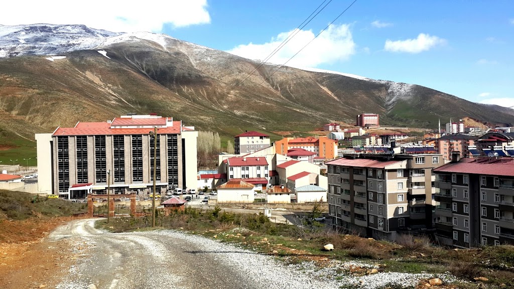 Bitlis Devlet Hastanesi