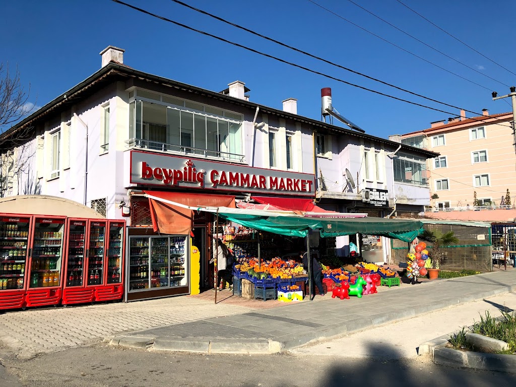 ÇAMMAR