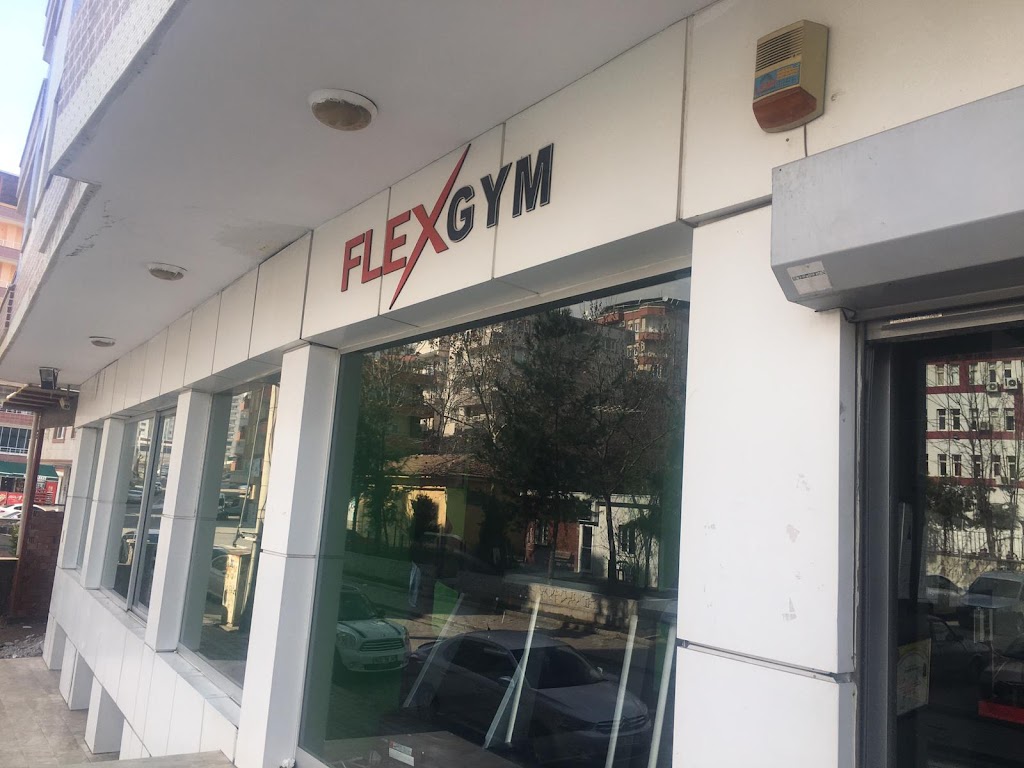 Flex Gym