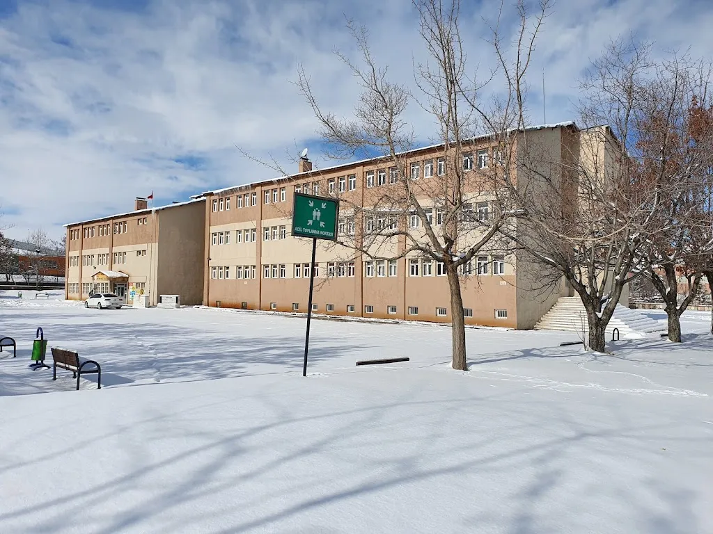 Karşıyaka Anadolu Lisesi