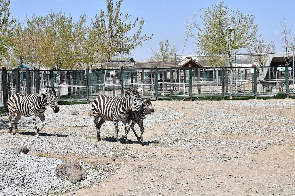 Kayseri Hayvanat Bahçesi