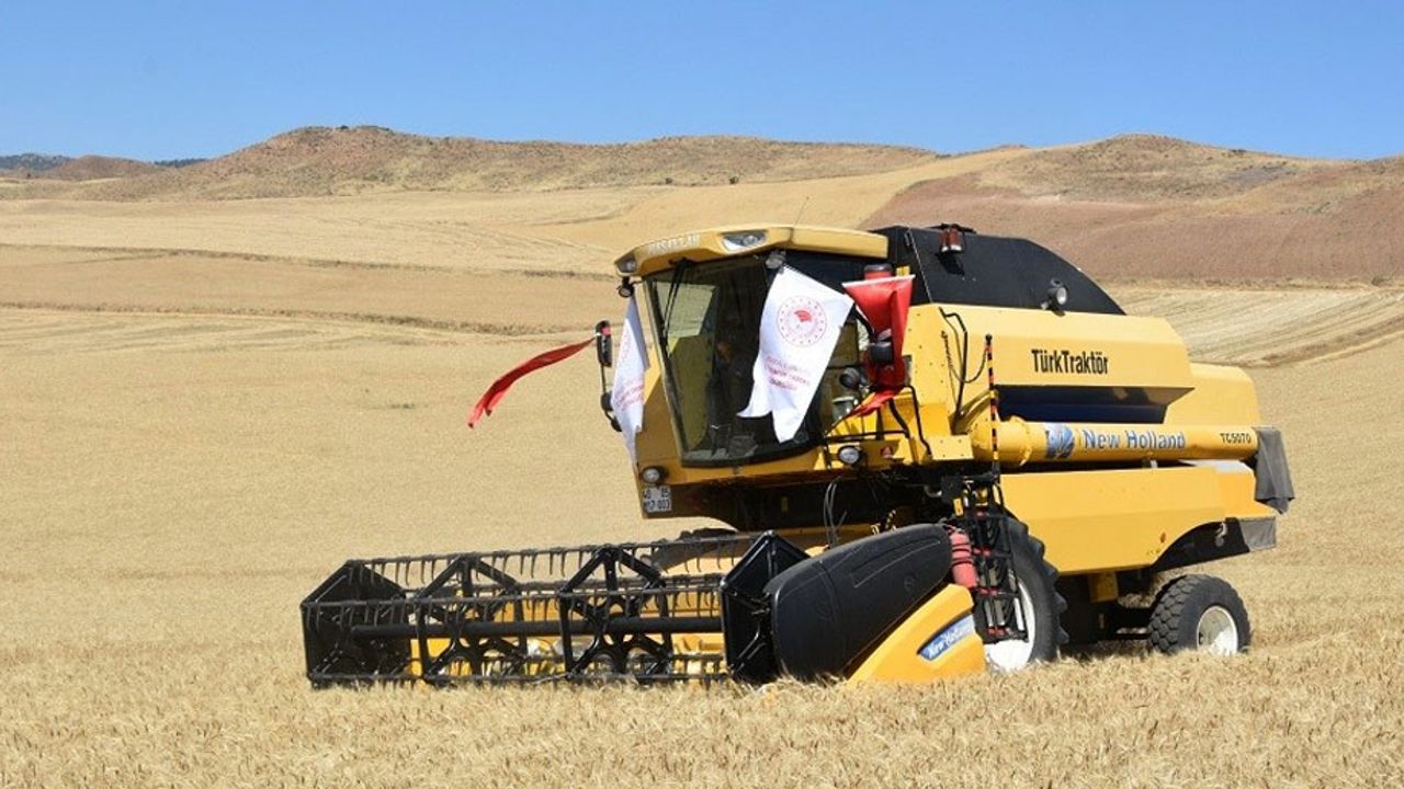 Kırıkkale’de çiftçilerin hasat mesaisi başladı