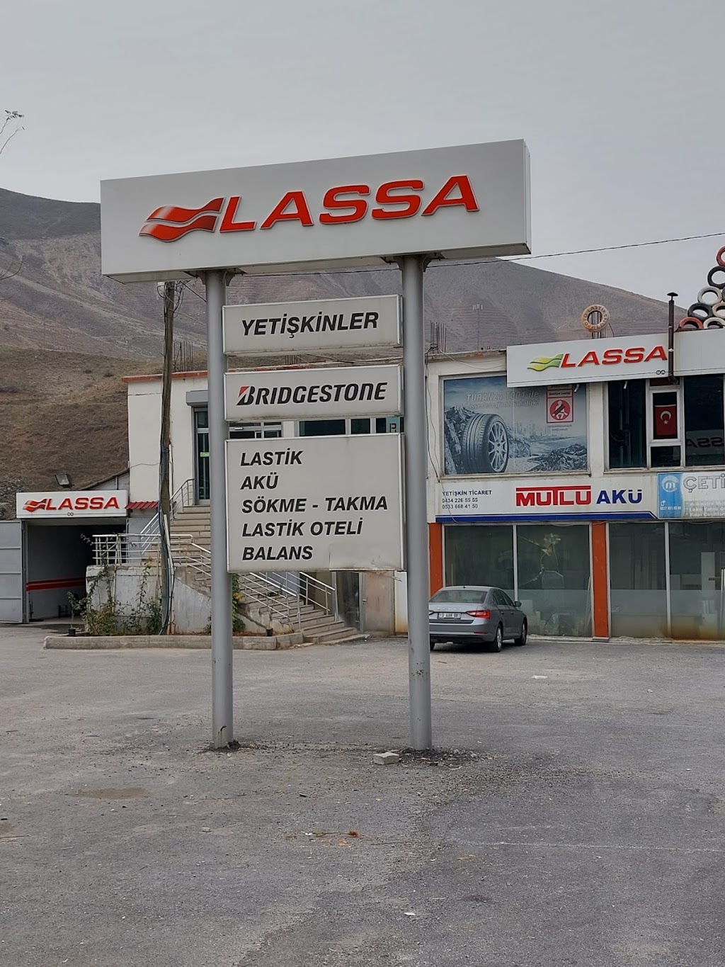 Lassa - Yetişkin Ticaret