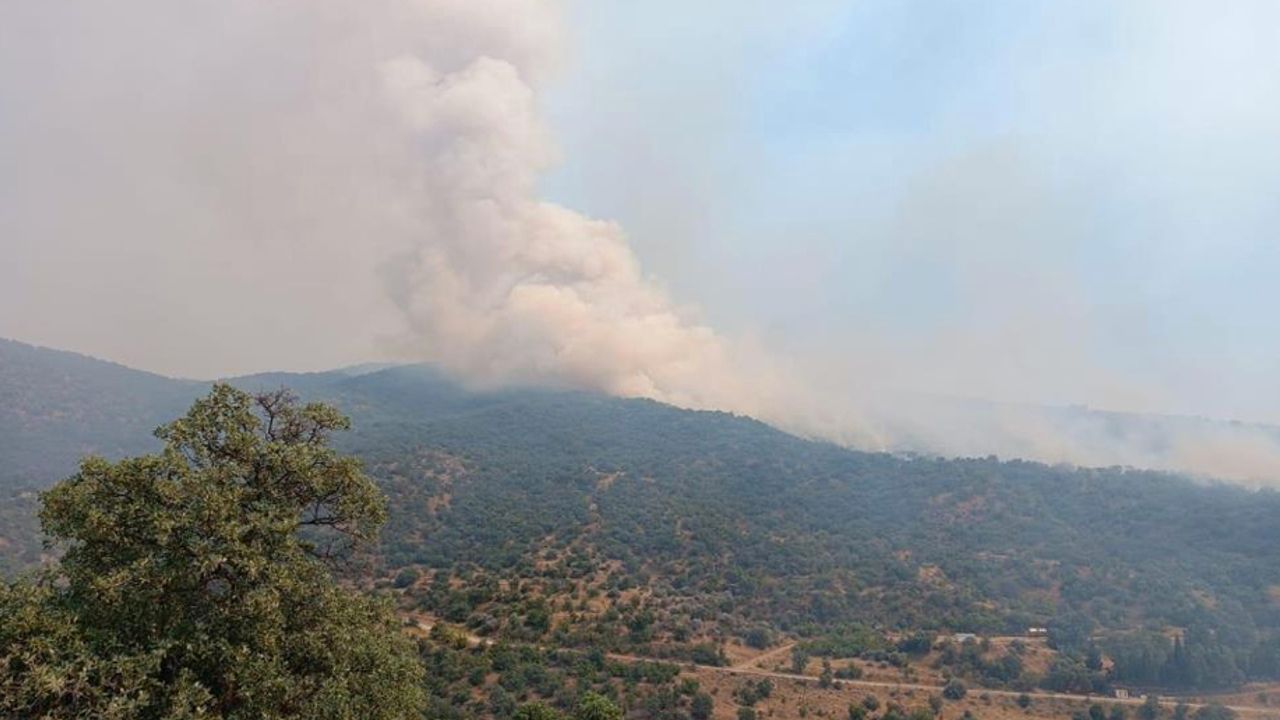 Manisa’da orman yangını!.. Tren seferleri durduruldu