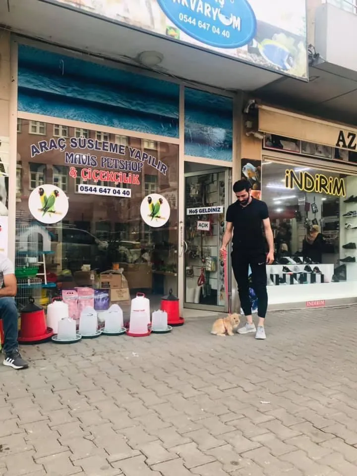 Maviş Akvaryum Pet Shop