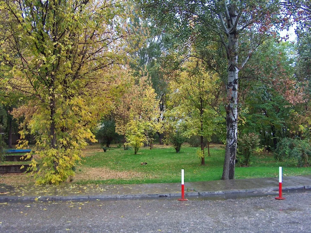 Otobüs Park Alanı