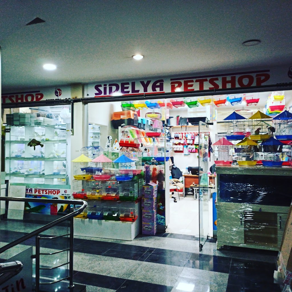 sidelya petshop Tatvan