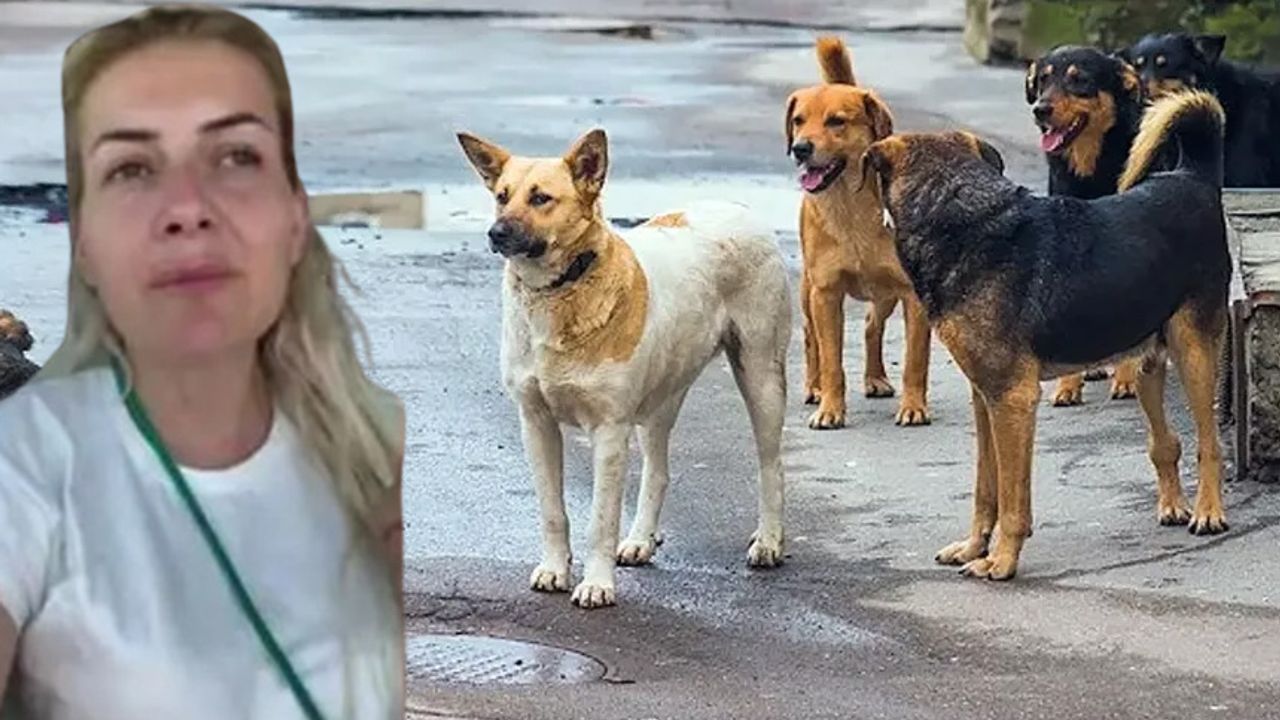 SON DAKİKA | Kuduz köpekleri taşıyan Buket Özgünlü tutuklandı!