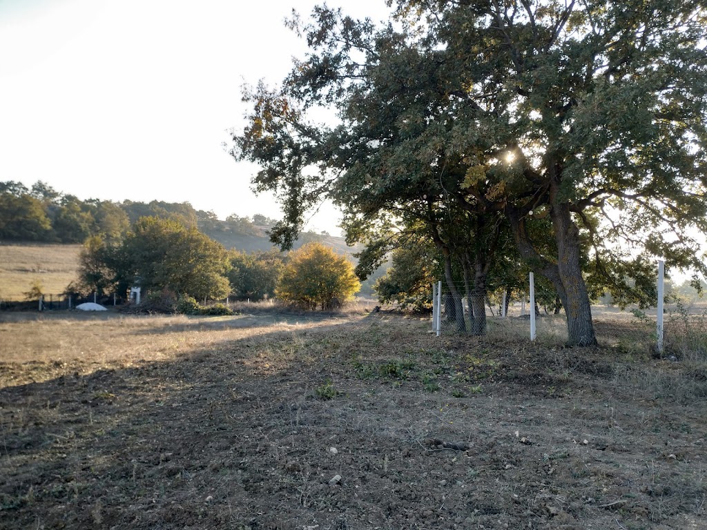 Tepe Kamp ve Doğal Yaşam Alanı