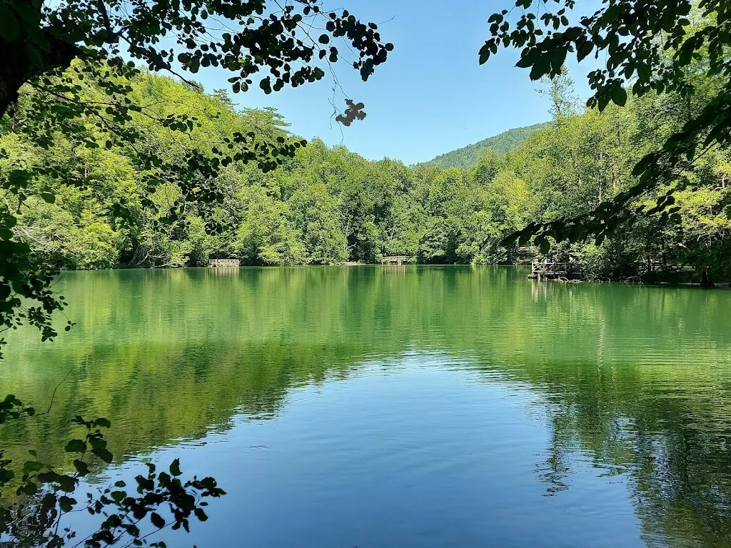 Yedigöller Milli Parkı