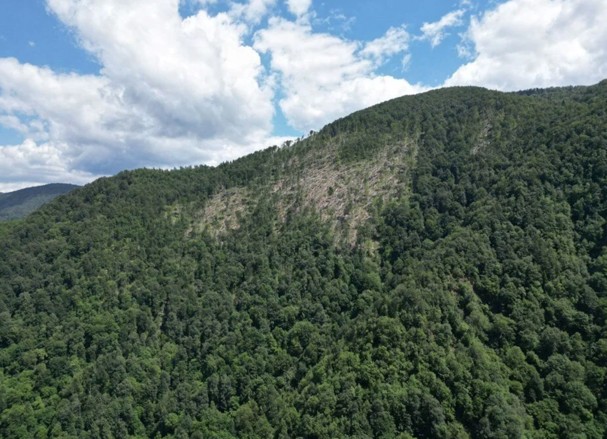 Batı Karadeniz’deki Hortumların Sayısı ve Şiddeti İklim Değişikliği ile Artabilir