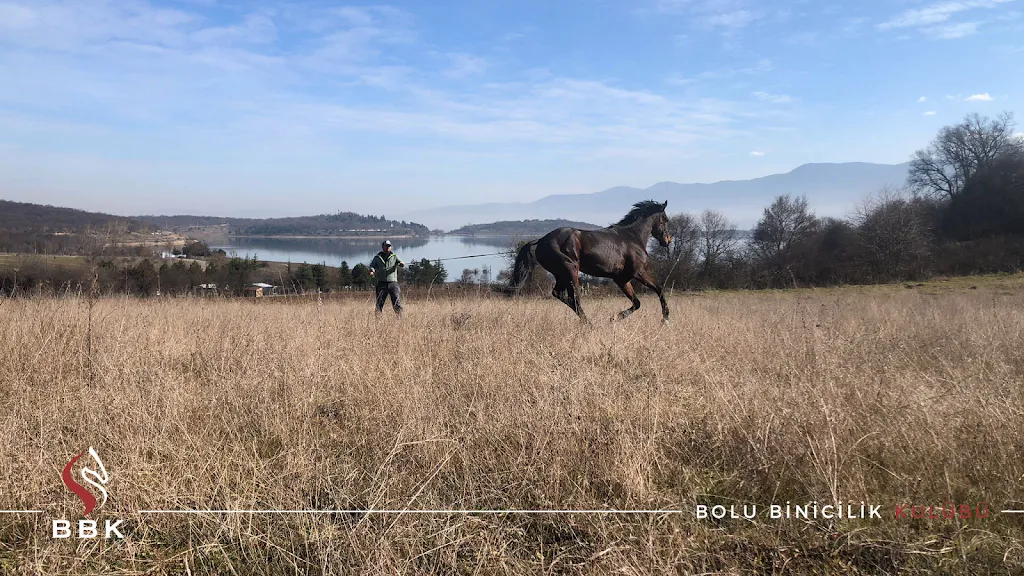 BOLU BİNİCİLİK KULÜBÜ