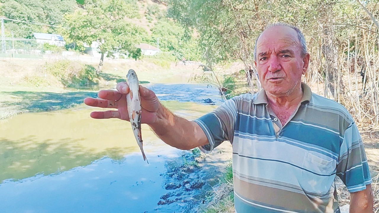 Çamur akan dere vatandaşta öfke!