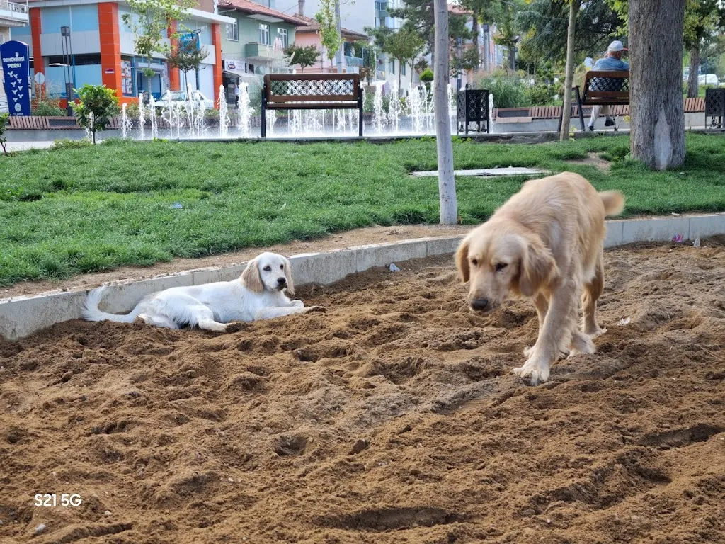 Demokrasi parkı