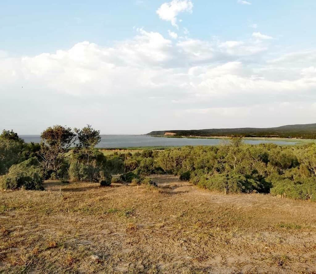 Edirne Kamp Alanları: Huzurlu ve Keyifli 11 Kamp Yeri