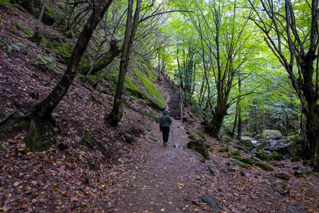 İstanbul’a Yakın Bir Tatil Rotası: Yalova’nın Tati̇l Yerleri̇