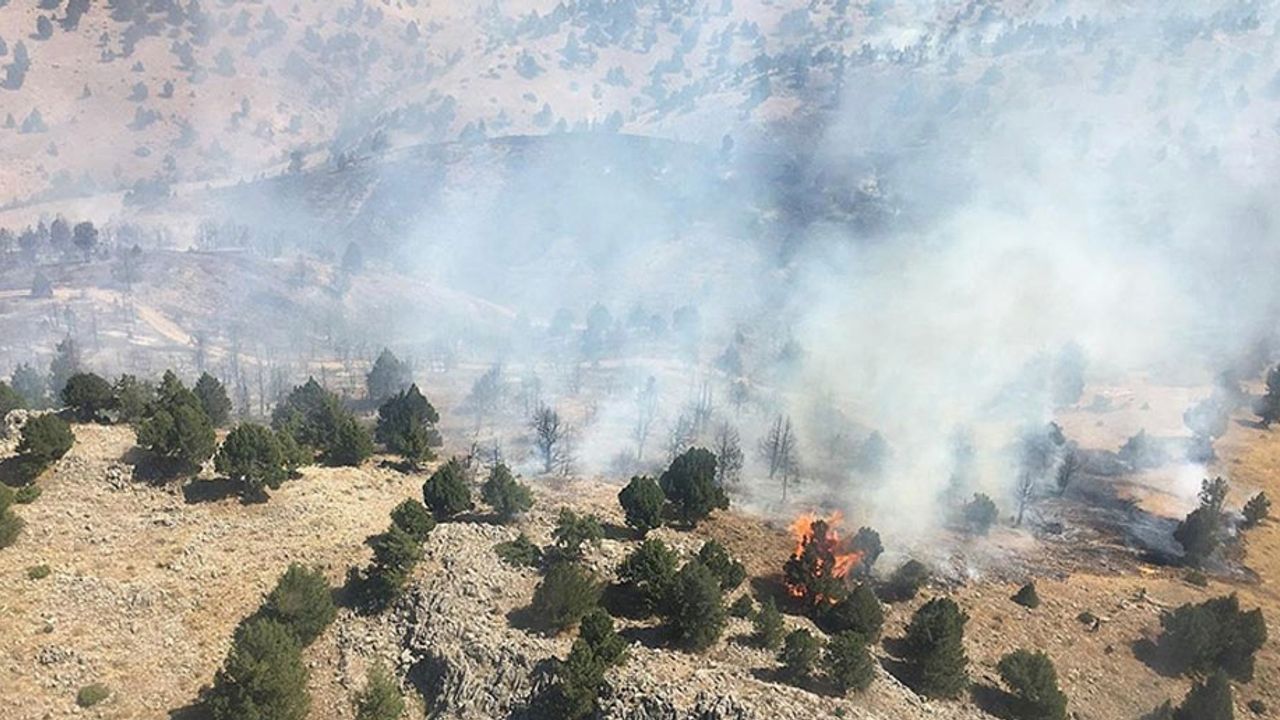 Kahramanmaraş'ta ormanlık alanda çıkan yangın söndürüldü