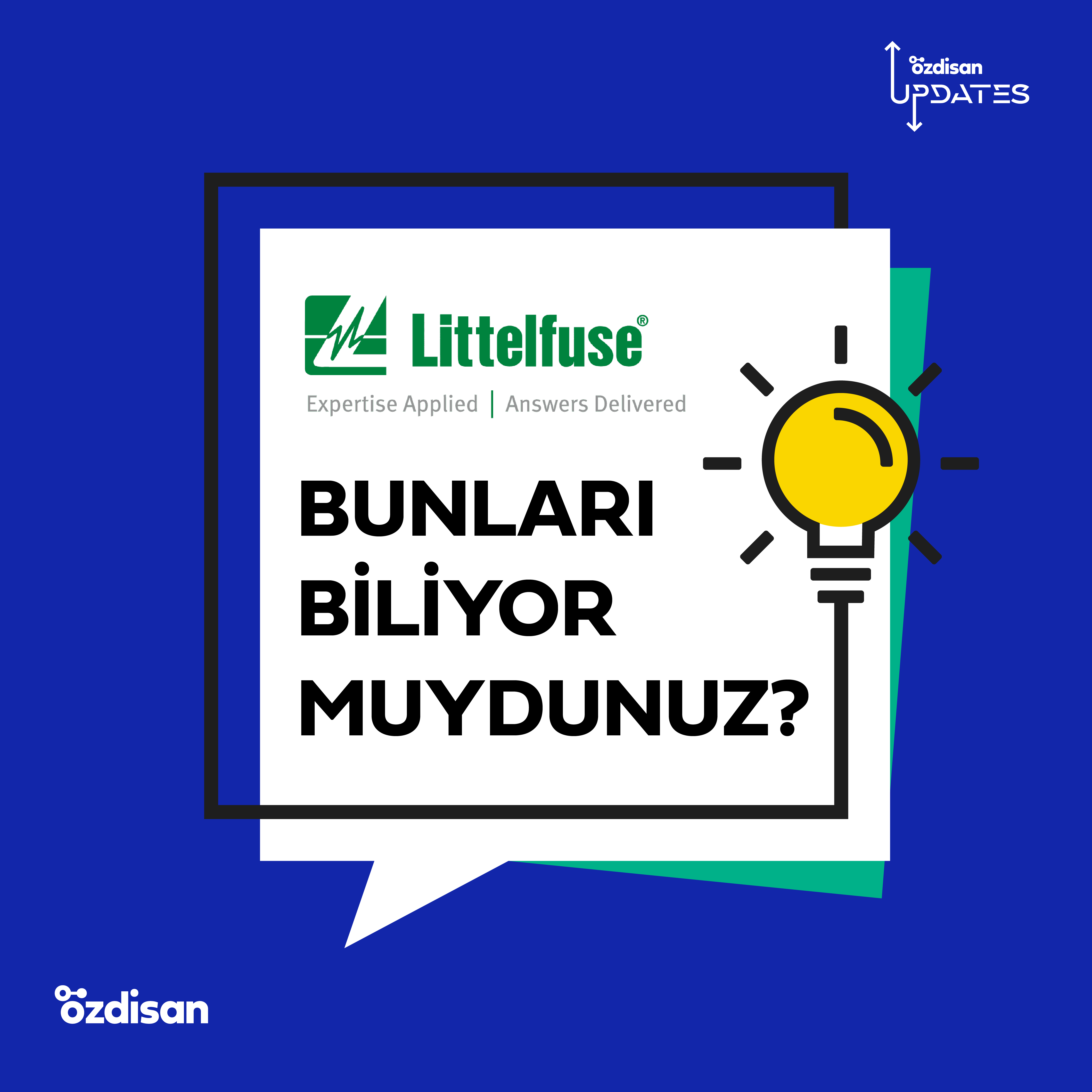 Littelfuse: Bunları Biliyor Muydunuz?