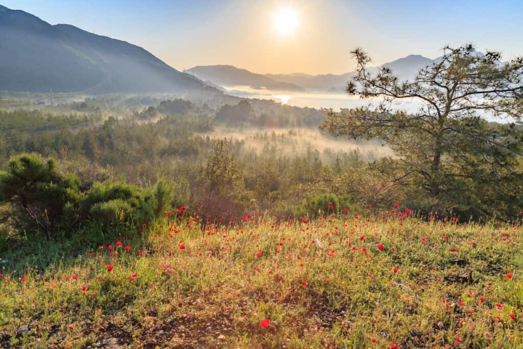 Muğla’nın Kamp Alanları: Ege’nin Kamp Cennetleri