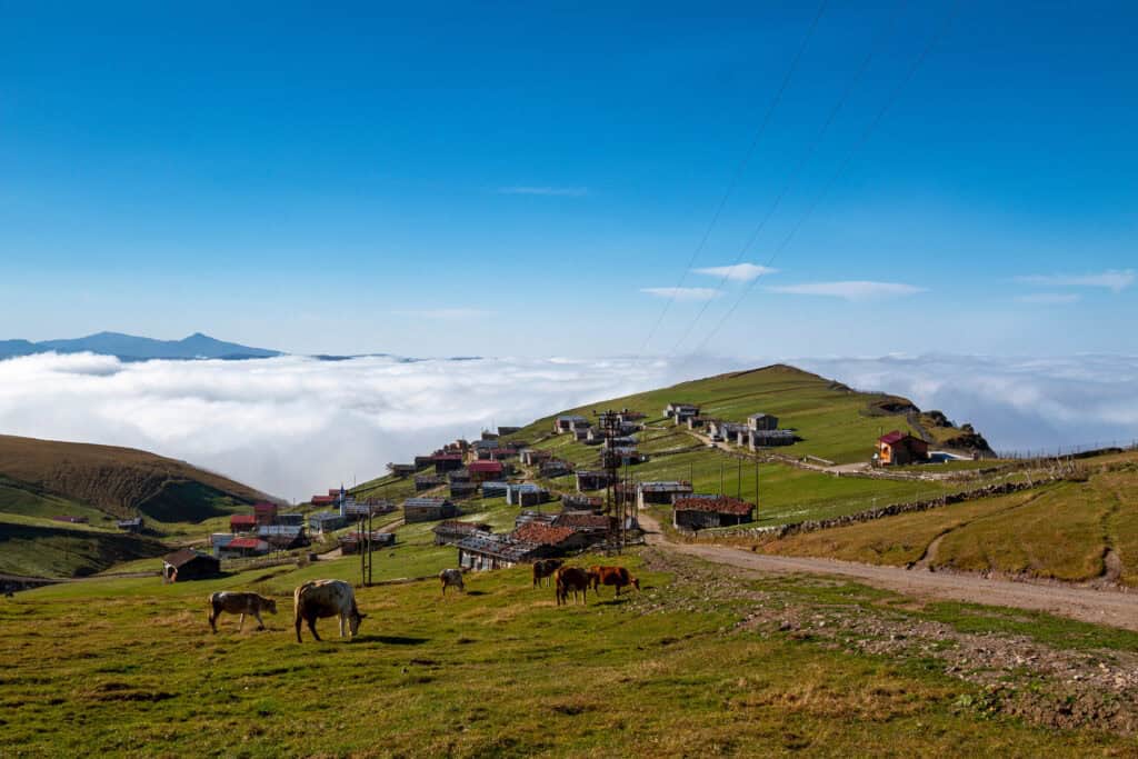 Trabzon Gezilecek Yerler: Trabzon’da Mutlaka Görmeniz Gereken 48 Yer